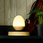 Altavoz Flotante Bluetooth con Levitación Magnética